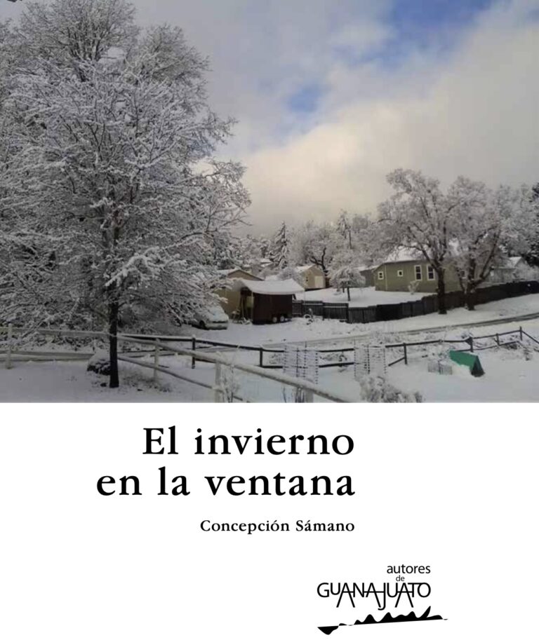 El invierno en la ventana