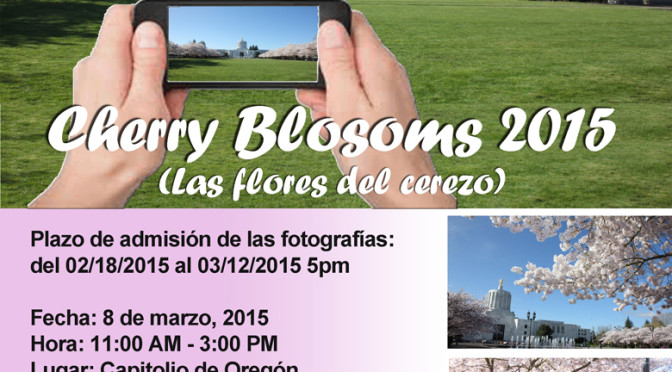 Póster del concurso de fotografía "Cherry Blosoms 2015"